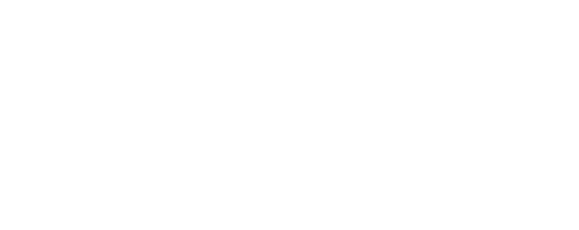 Dr. Oana Cadar